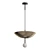 Upside-Down Pendant Light 3D model small image 2