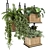 Metal Box Hanging Indoor Plants Set 3D model small image 1