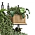 Metal Box Hanging Indoor Plants Set 3D model small image 2