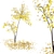 Acer Fall 02: Stunning Landscaping Solution 3D model small image 2