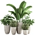 Indoor Plant Collection: Aesthetic and Versatile 3D model small image 1