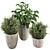 Indoor Plant Collection: Aesthetic and Versatile 3D model small image 2