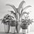 Indoor Plant Collection: Aesthetic and Versatile 3D model small image 6