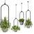 Hanging Plants Set for Indoor Décor 3D model small image 1