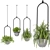 Hanging Plants Set for Indoor Décor 3D model small image 2