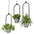 Hanging Plants Set for Indoor Décor 3D model small image 3