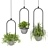 Hanging Plants Set for Indoor Décor 3D model small image 4