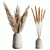 Elegant Pampas Set for Rendering 3D model small image 1