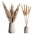 Elegant Pampas Set for Rendering 3D model small image 5