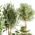 Lush Greenery Indoor Plant Set 3D model small image 5