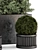 Rustic Concrete Pot with Outdoor Bamboo 3D model small image 5