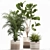 Decorative Plant Collection: Exotic Indoor Plants 3D model small image 6