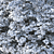 Przewalskii Populus 2014: Millimeter Units 3D model small image 3