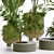 Modern Indoor Plant Vol 30: Stylish & Versatile 3D model small image 2