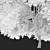Premium Pecan Tree: Lifelike, Versatile 3D model small image 5