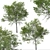 Taiwan Beech Duo: Fagus Hayatae Set 3D model small image 7