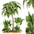 Tropical Garden Set 2015 3D model small image 1