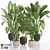 Tropical Plant Set: Ornamental Exotics for Indoor & Outdoor Use 3D model small image 1