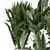 Ferm Living Bau Pot: Large Indoor Plant Set 3D model small image 3