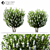 Syringa_vulgaris: Exquisite 2014 Floral Beauty! 3D model small image 2