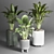 Indoor Plant Collection: 22 Varieties 3D model small image 3