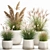 Exotic Plant Collection in Concrete Pots 3D model small image 1