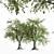 Variety of Tree-Katsura - 4 Different Sizes & Materials 3D model small image 1