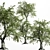 Variety of Tree-Katsura - 4 Different Sizes & Materials 3D model small image 2