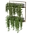 Elevate Your Space with Hanging Plants 3D model small image 5