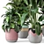 Rustic Concrete Pot Indoor Plants Set 3D model small image 3