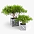 Exotic Bush: High-quality 3D Model 3D model small image 3