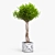 Exotic Bush: High-quality 3D Model 3D model small image 6