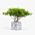 Exotic Bush: High-quality 3D Model 3D model small image 7