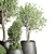 Concrete Tree Pots: Collection-Ready for Indoor/Outdoor 3D model small image 4
