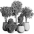 Concrete Tree Pots: Collection-Ready for Indoor/Outdoor 3D model small image 6