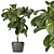 286 Indoor Leaf Collection: High-Quality, Lightweight Plants 3D model small image 4