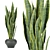 286 Indoor Leaf Collection: High-Quality, Lightweight Plants 3D model small image 6