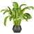 Greenery Delight: Indoor Aglaonema Leaf Collection 3D model small image 2