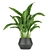 Greenery Delight: Indoor Aglaonema Leaf Collection 3D model small image 3