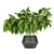 Greenery Delight: Indoor Aglaonema Leaf Collection 3D model small image 4