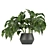 Greenery Delight: Indoor Aglaonema Leaf Collection 3D model small image 5