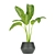 Greenery Delight: Indoor Aglaonema Leaf Collection 3D model small image 6