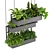 Hanging Indoor Ampelous Plant - Collection Vol. 295 3D model small image 2