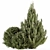 Pine Fruit Bush Set - 55 3D model small image 1