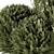 Pine Fruit Bush Set - 55 3D model small image 7