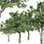 Majestic American Elm Tree 3D model small image 2