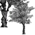 Majestic American Elm Tree 3D model small image 3