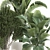 Exotic Plant Collection: Decorative Indoor & Outdoor Plants in Concrete Pots 3D model small image 2