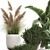 Exotic Plant Collection: Decorative Indoor & Outdoor Plants in Concrete Pots 3D model small image 3