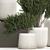 Exotic Plant Collection: Decorative Indoor & Outdoor Plants in Concrete Pots 3D model small image 4